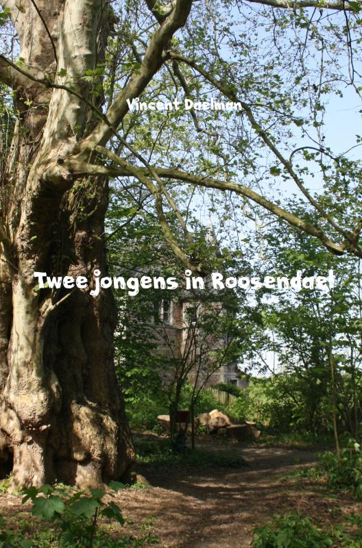 Omslag van Twee jongens in Roosendael