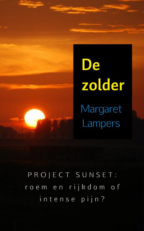Omslag van De zolder