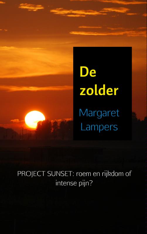 Omslag van De zolder