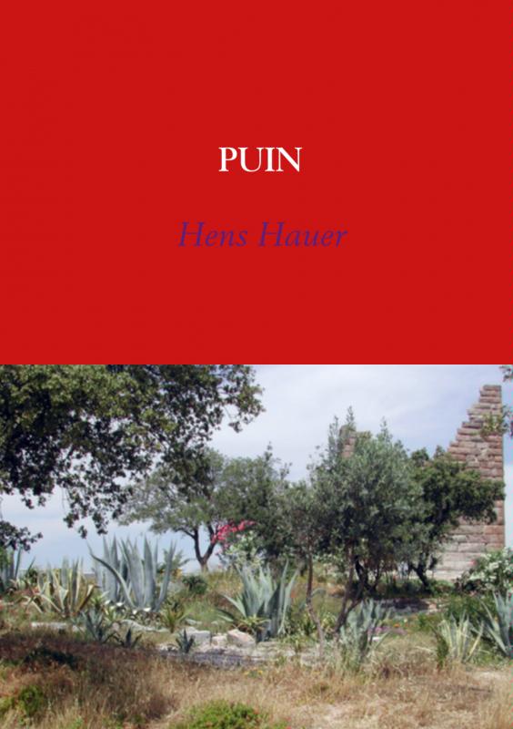 Omslag van Puin