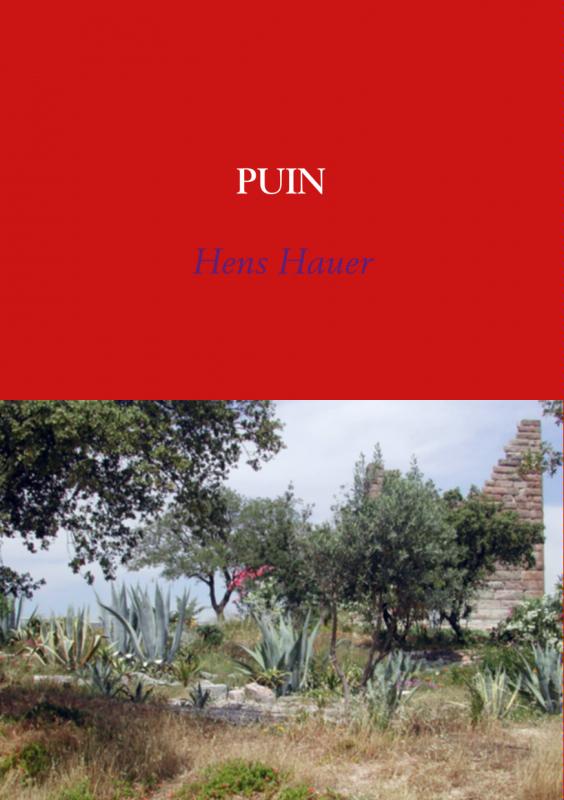 Omslag van Puin