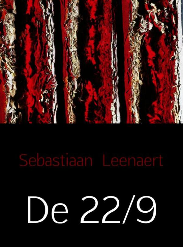 Omslag van De 22/9