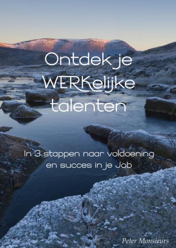 Omslag van Ontdek je werkelijke talenten