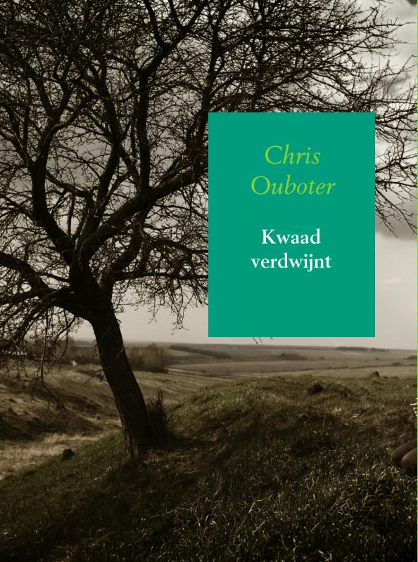 Omslag van Kwaad verdwijnt