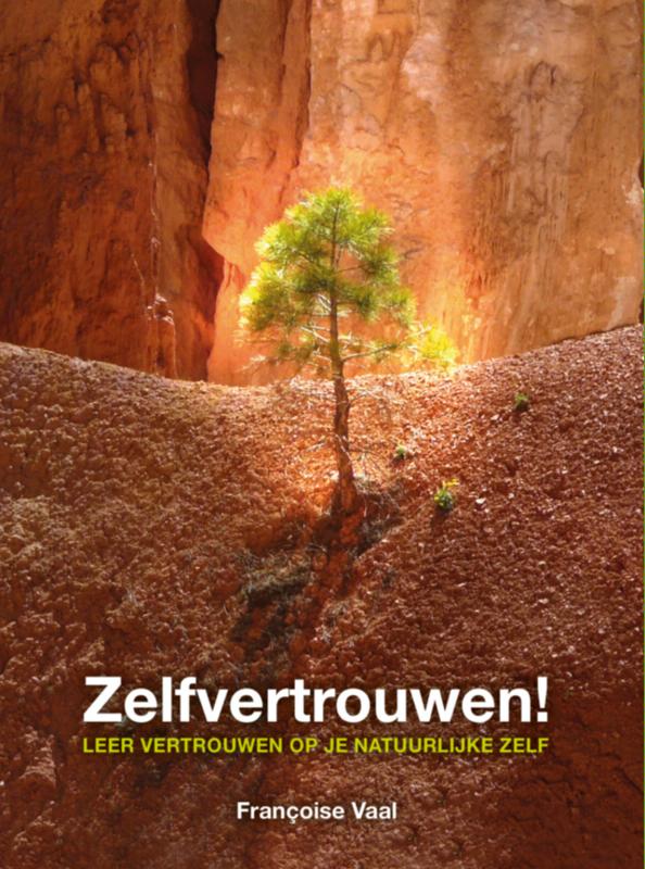 Omslag van Zelfvertrouwen!
