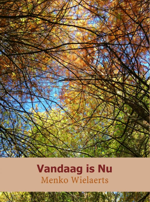 Omslag van Vandaag is nu
