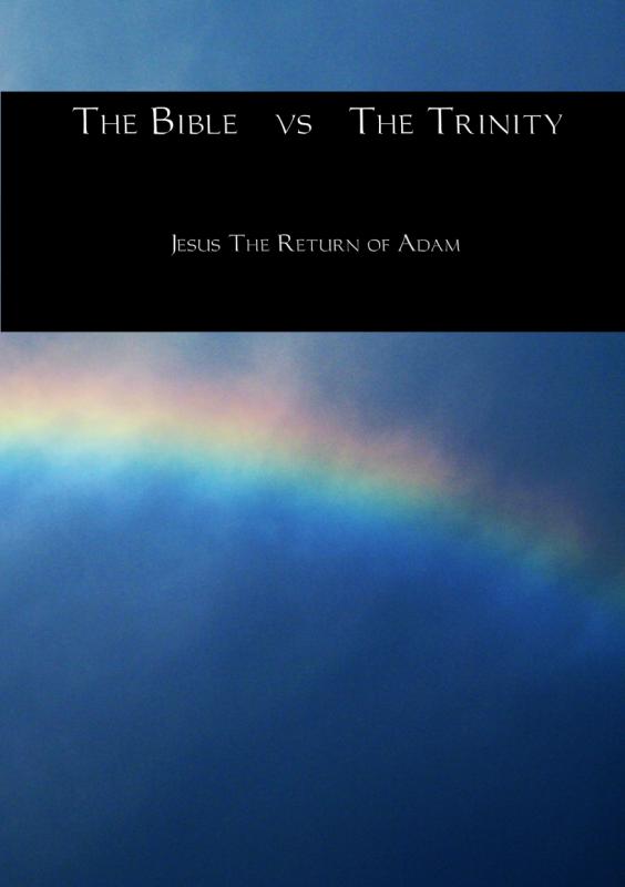 Omslag van The Bible vs The Trinity
