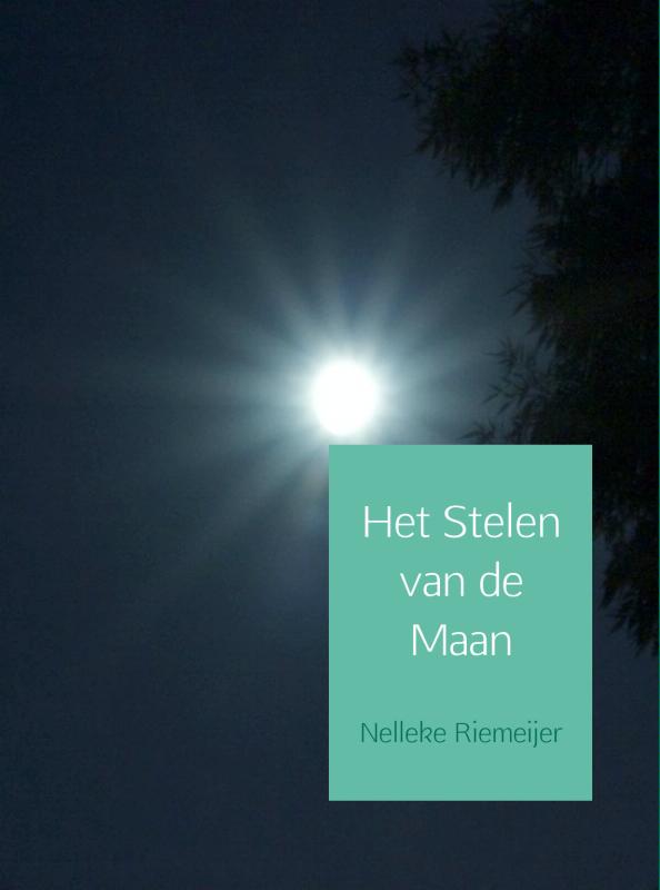 Omslag van Het stelen van de maan