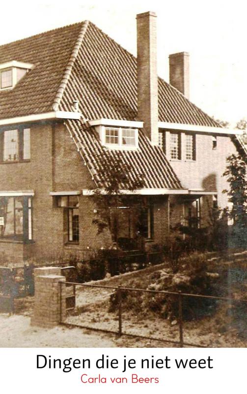 Omslag van Dingen die je niet weet