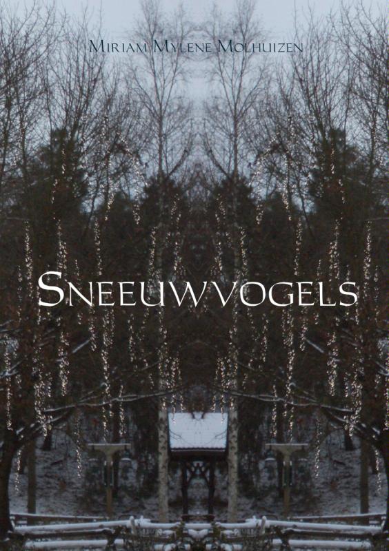 Omslag van Sneeuwvogels