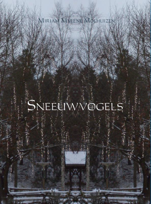 Omslag van Sneeuwvogels