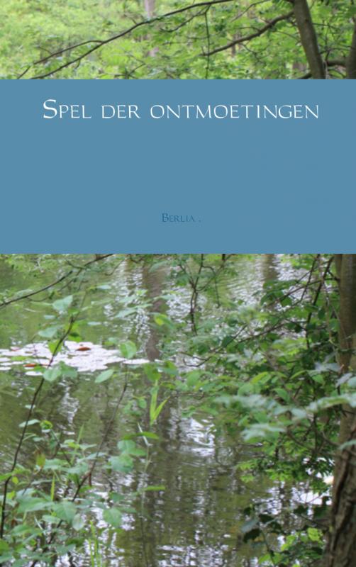 Omslag van Spel der ontmoetingen