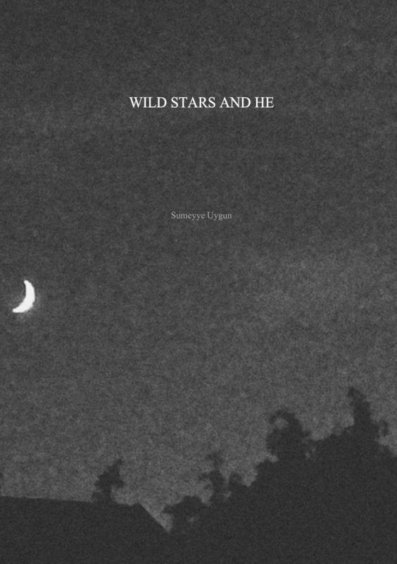 Omslag van WILD STARS AND HE