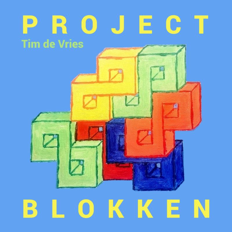 Omslag van Project blokken
