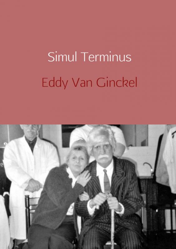 Omslag van Simul terminus