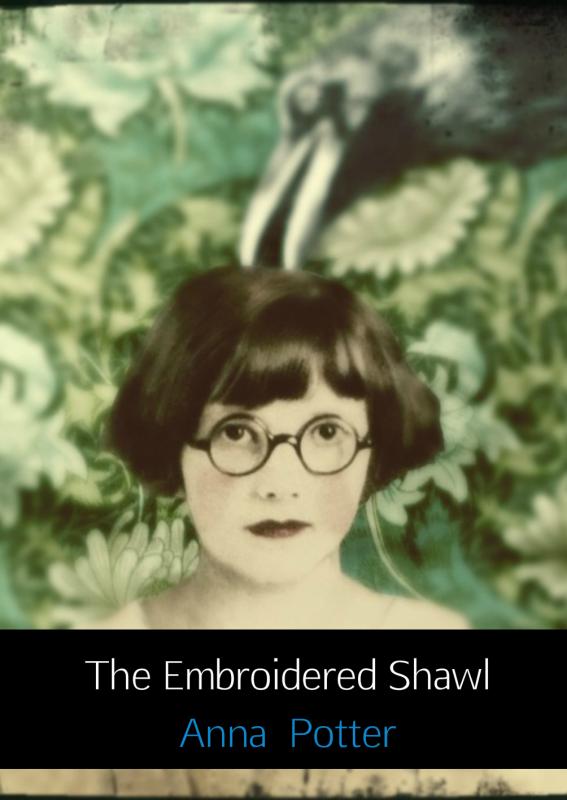 Omslag van The embroidered shawl