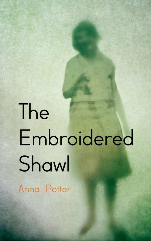 Omslag van The embroidered shawl