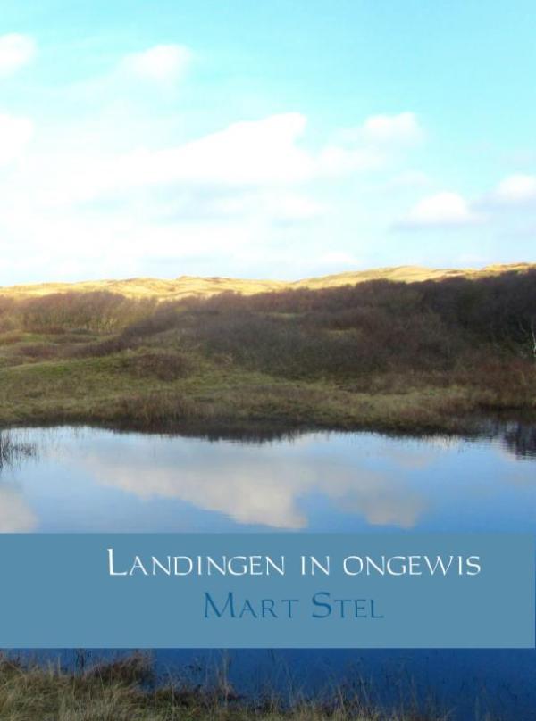 Omslag van Landingen in ongewis