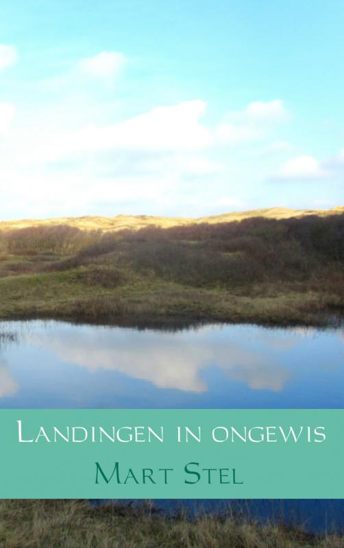 Omslag van Landingen in ongewis