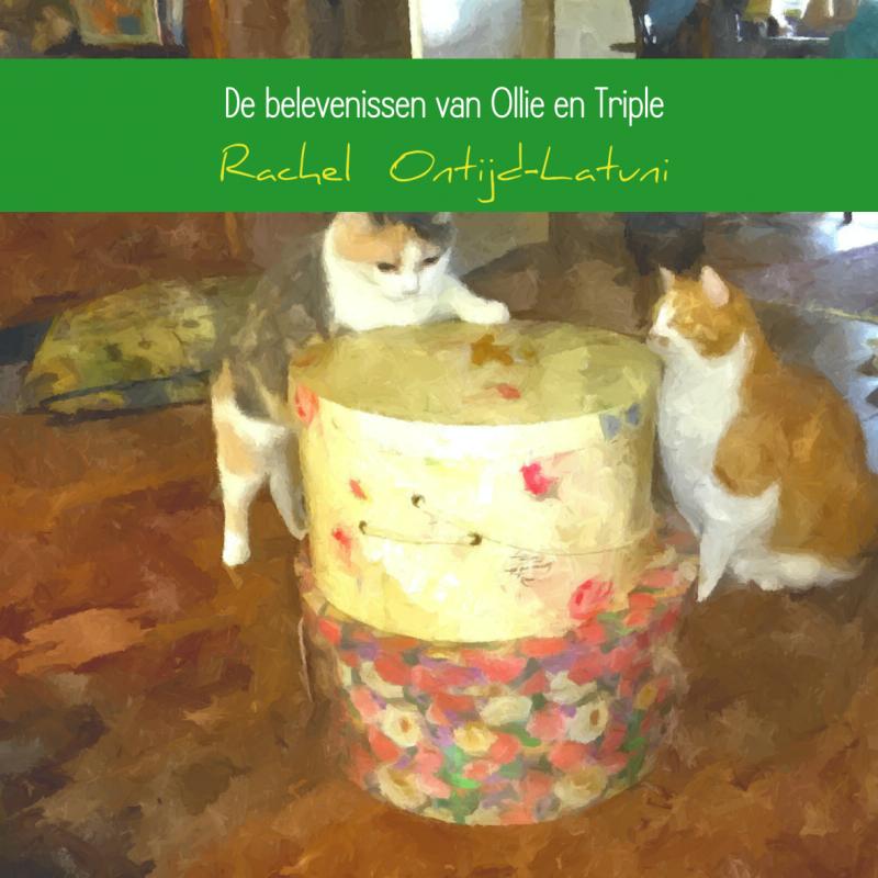 Omslag van De belevenissen van Ollie en Triple