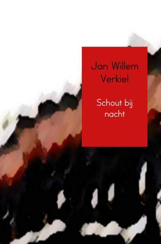 Omslag van Schout bij nacht