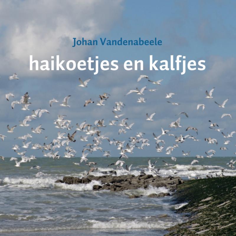 Omslag van Haikoetjes en kalfjes