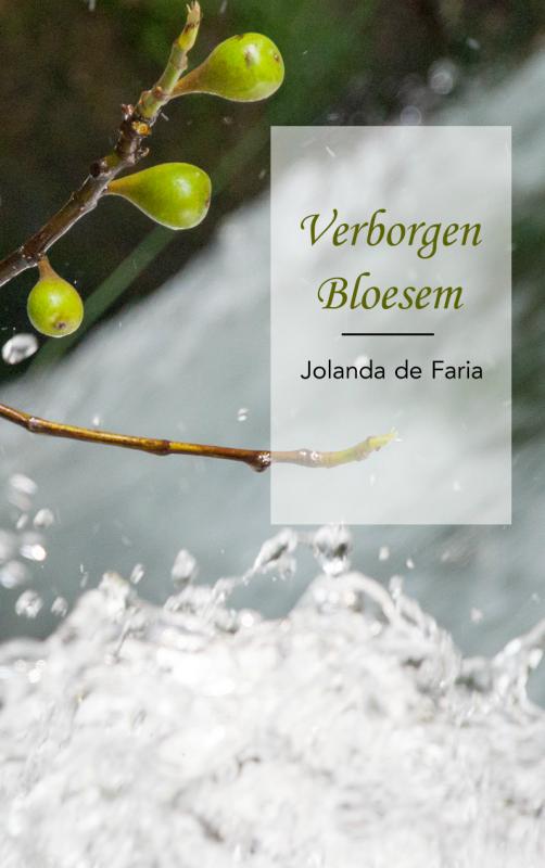 Omslag van Verborgen Bloesem