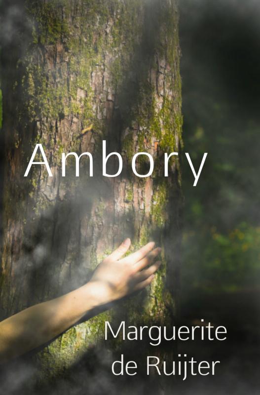 Omslag van Ambory