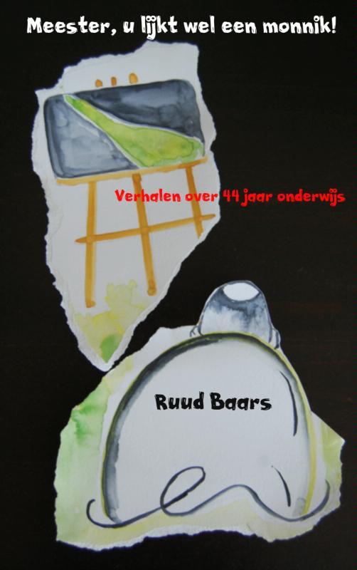 Omslag van Meester, u lijkt wel een monnik!
