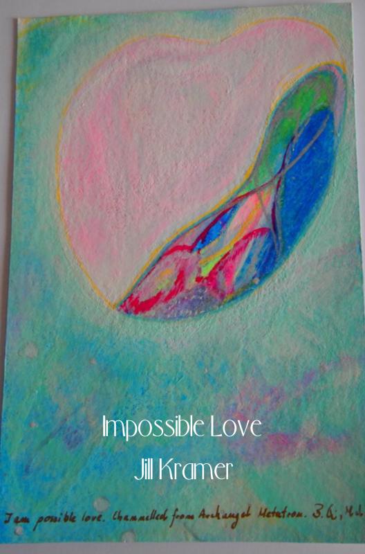 Omslag van Impossible love