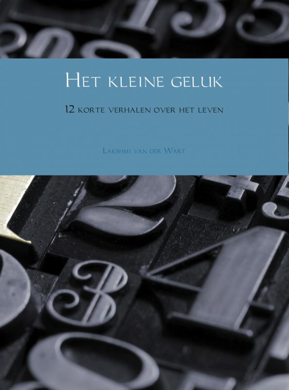 Omslag van Het kleine geluk