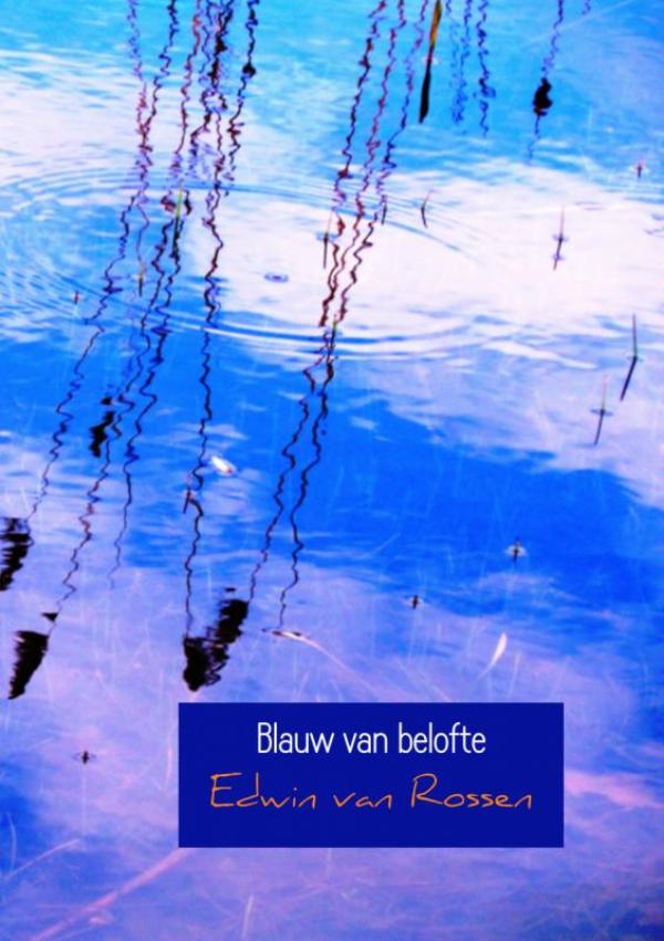 Omslag van Blauw van belofte