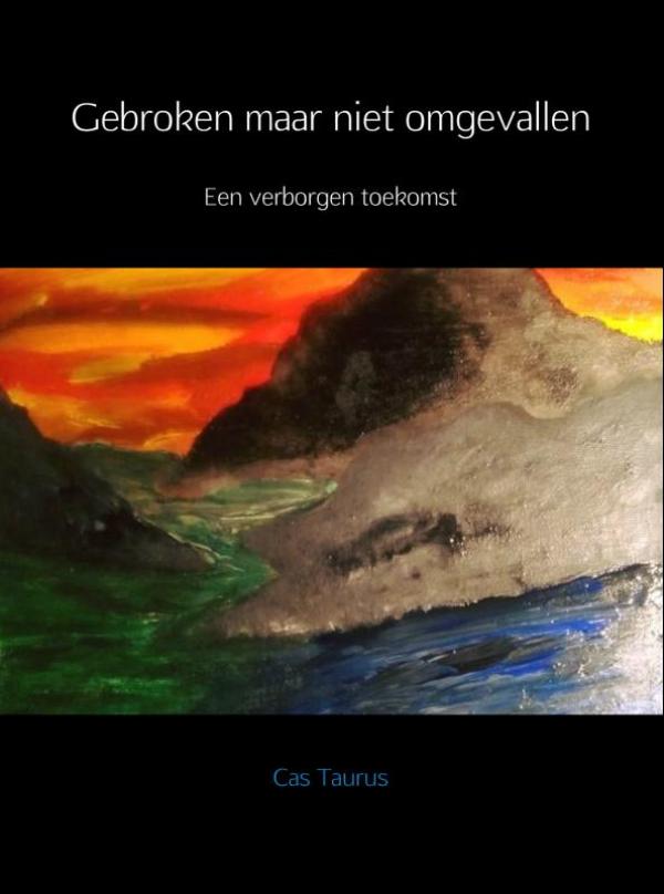 Omslag van Gebroken maar niet omgevallen