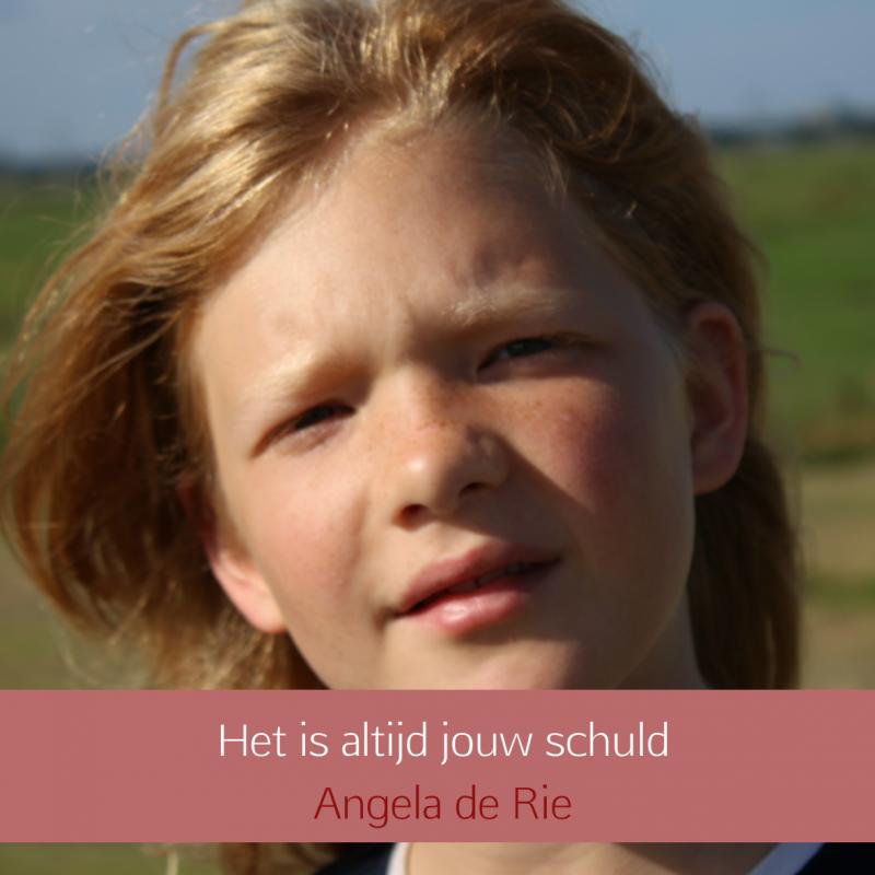 Omslag van Het is altijd jouw schuld