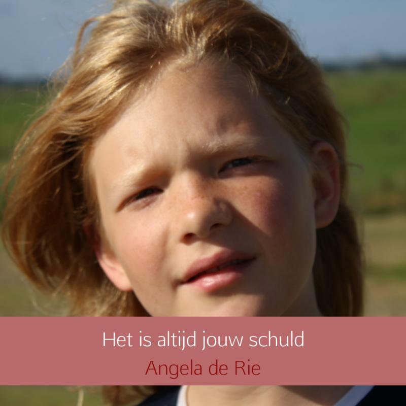 Omslag van Het is altijd jouw schuld