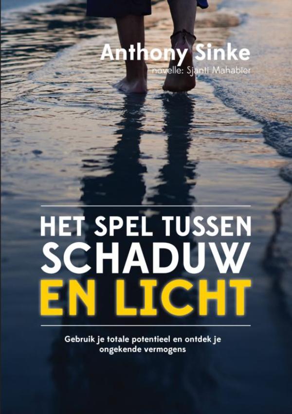 Omslag van Het spel tussen schaduw en licht