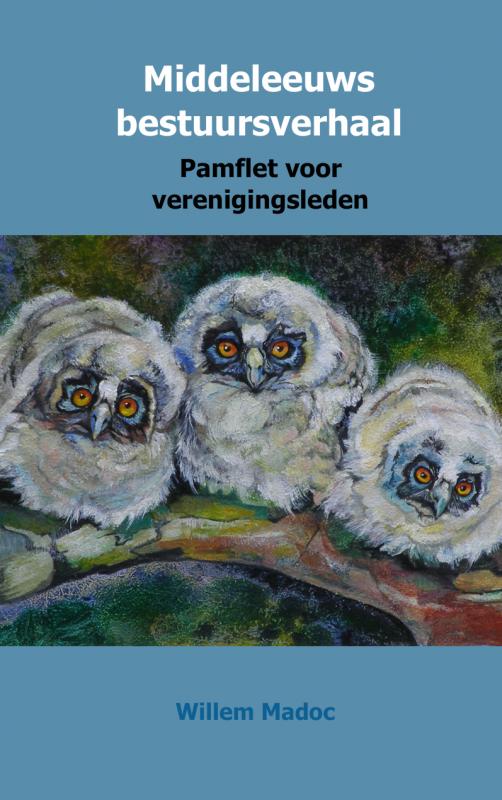 Omslag van Middeleeuws bestuursverhaal