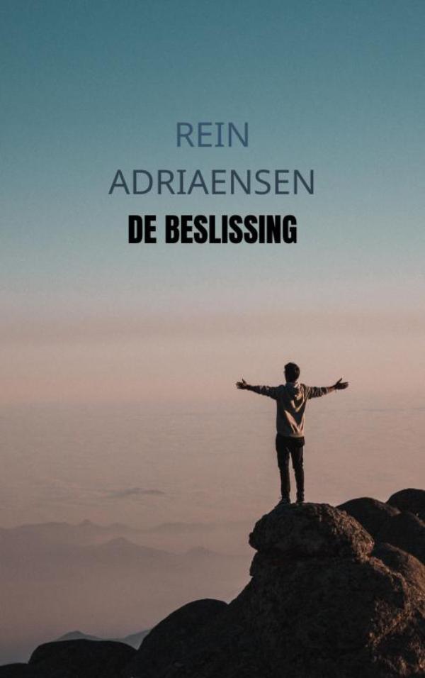 Omslag van De beslissing