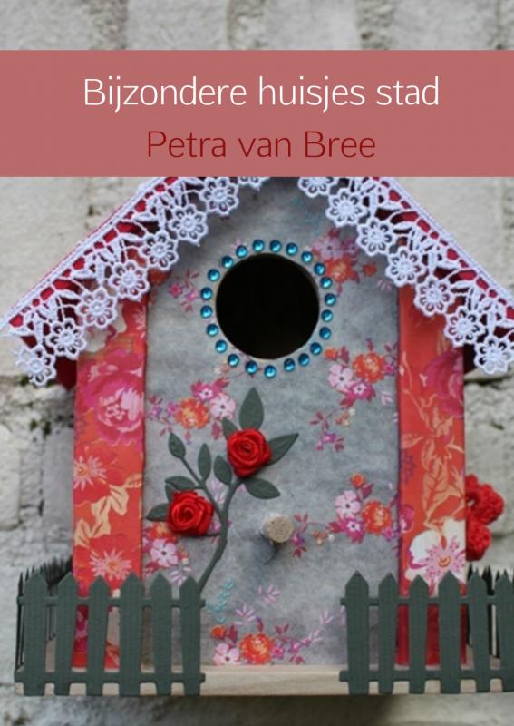 Omslag van Bijzondere huisjes stad