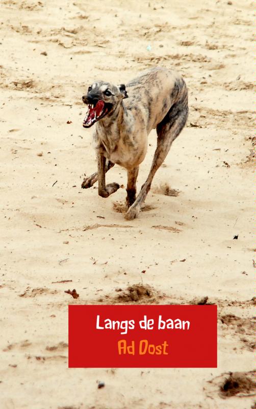 Omslag van Langs de baan