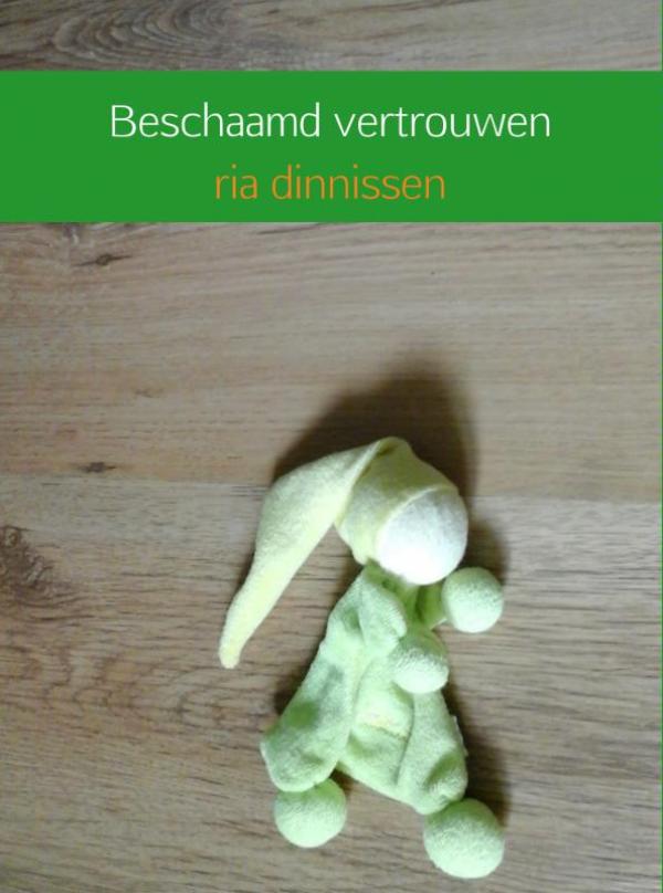 Omslag van Beschaamd vertrouwen