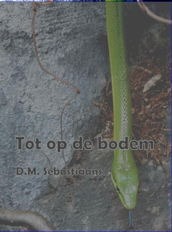 Omslag van Tot op de bodem