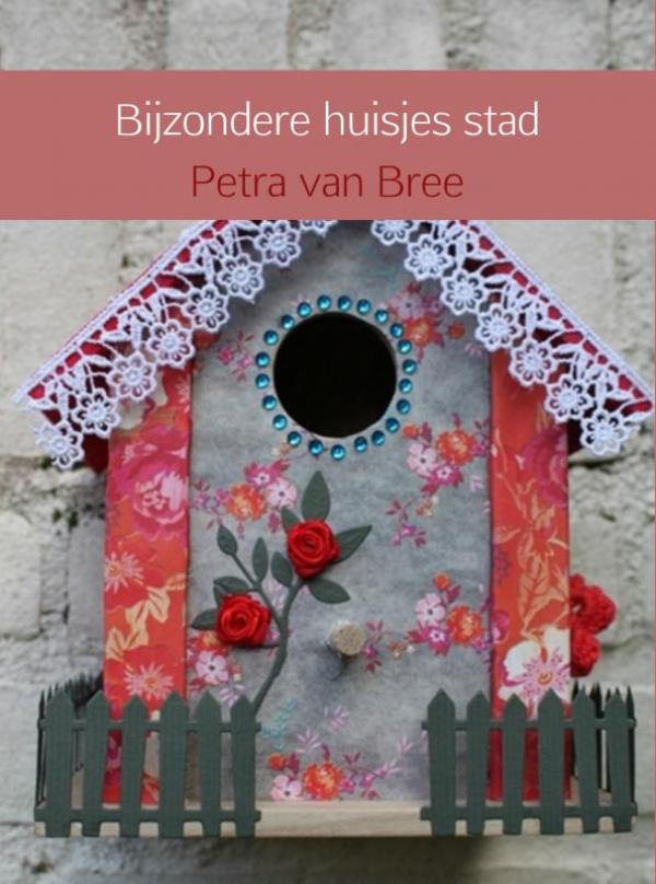 Omslag van Bijzondere huisjes stad