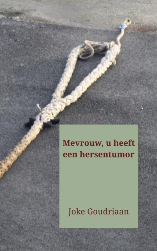 Omslag van Mevrouw, u heeft een hersentumor