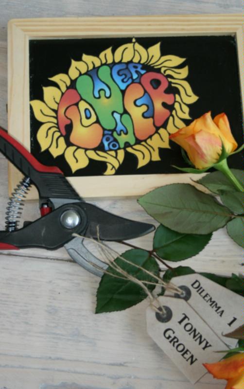 Omslag van FlowerPower