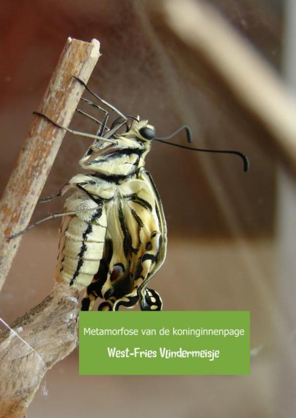Omslag van Metamorfose van de koninginnenpage