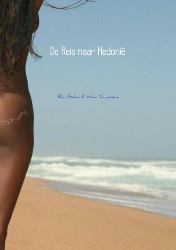 Omslag van De Reis naar Hedonië