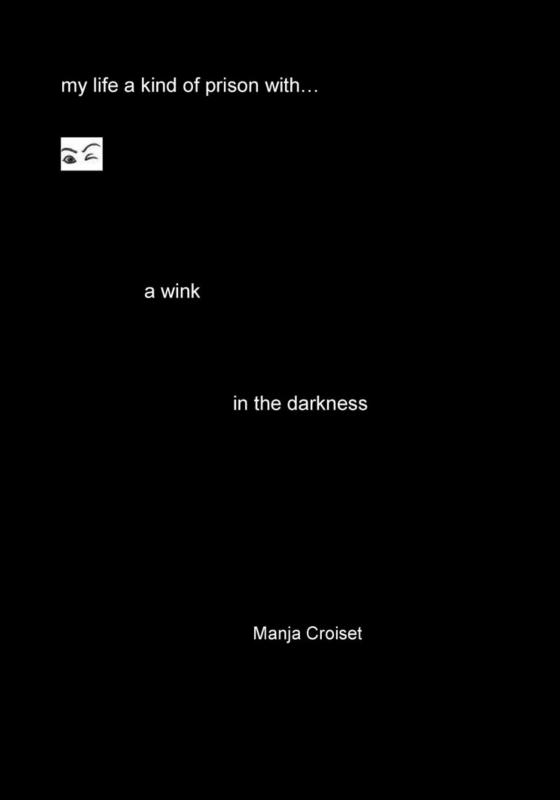 Omslag van A wink in the darkness