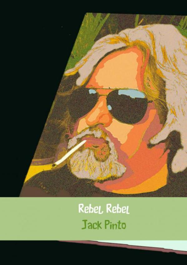 Omslag van Rebel, rebel