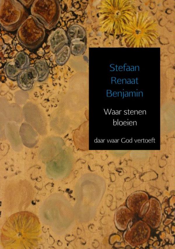 Omslag van Waar stenen bloeien